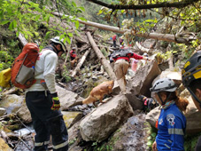 Búsqueda Iztaccíhuatl, Socorro Alpino de México